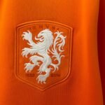 Netherlands 2014 Jersey royal orange World Cup home shirt